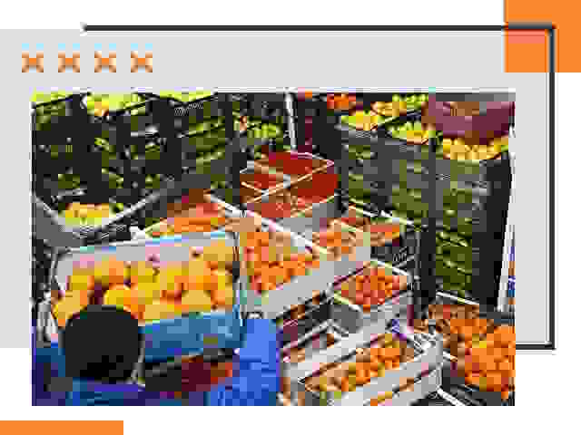 Перевозка скоропортящихся продуктов в Лянторе
